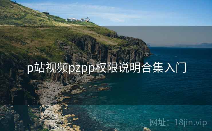 p站视频pzpp权限说明合集入门 p站视频pzpp权限说明合集入门