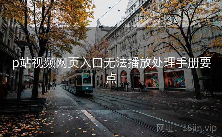 p站视频网页入口无法播放处理手册要点 p站视频网页入口无法播放处理手册要点