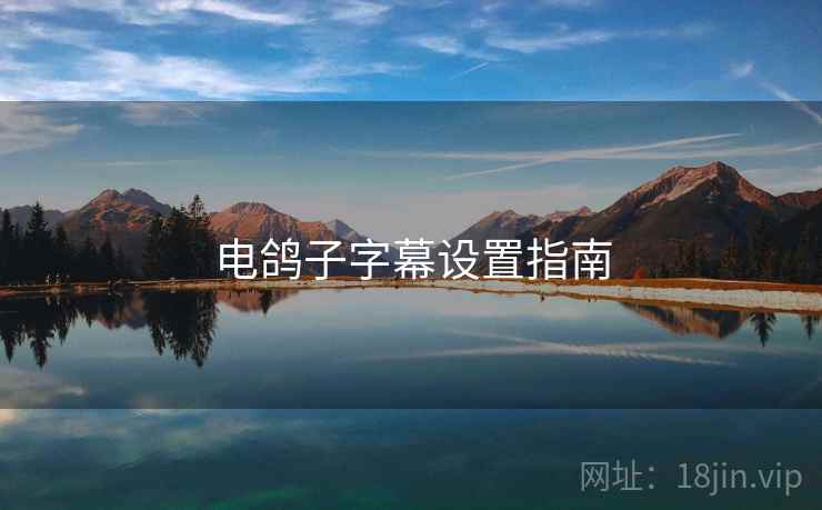 电鸽子字幕设置指南 电鸽子字幕设置指南