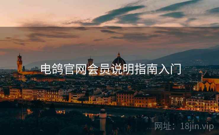 电鸽官网会员说明指南入门