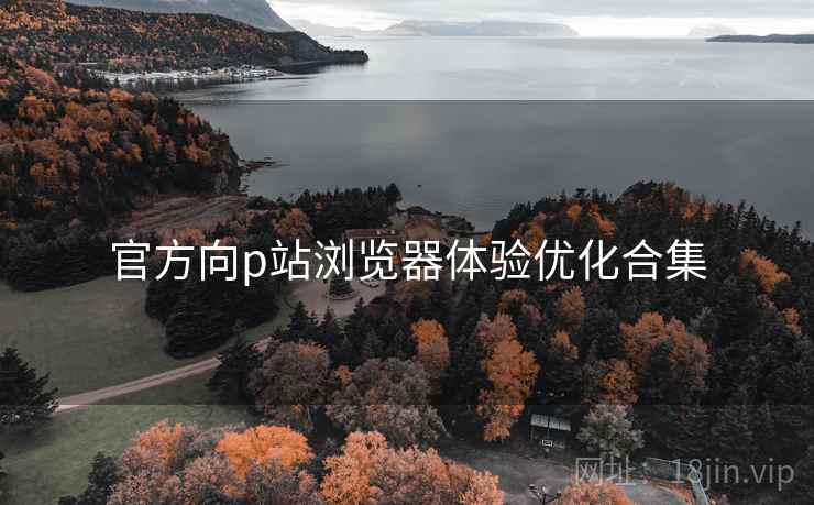 官方向p站浏览器体验优化合集 官方向p站浏览器体验优化合集