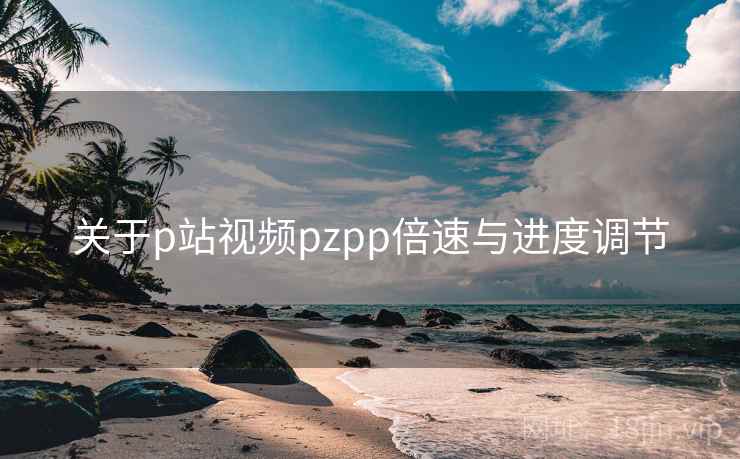 关于p站视频pzpp倍速与进度调节