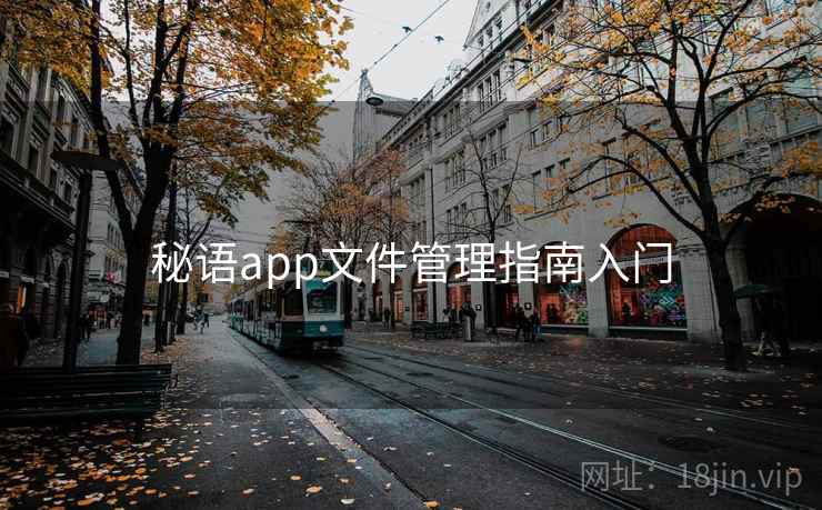 秘语app文件管理指南入门