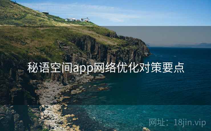 秘语空间app网络优化对策要点