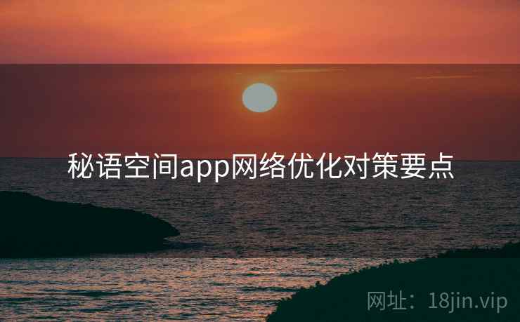 秘语空间app网络优化对策要点 秘语空间app网络优化对策要点