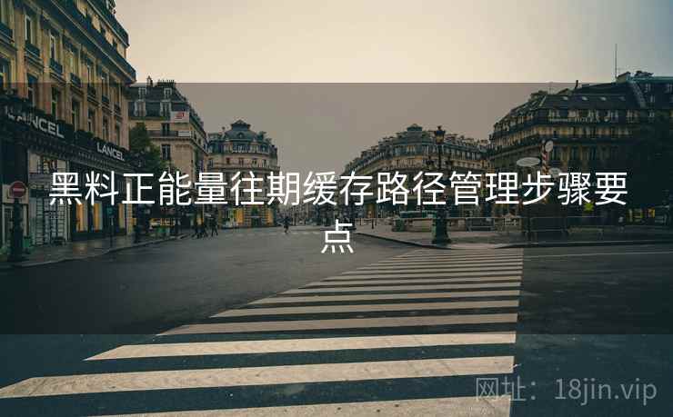 黑料正能量往期缓存路径管理步骤要点 黑料正能量往期缓存路径管理步骤要点