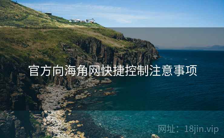 官方向海角网快捷控制注意事项