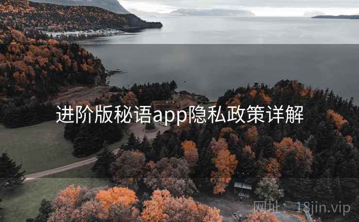 进阶版秘语app隐私政策详解 进阶版秘语app隐私政策详解